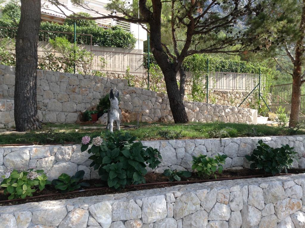 Apartments Vila Oksana ミミツェ エクステリア 写真